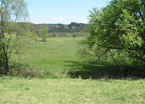 Oberlinspher Rundweg (Premiumwanderweg)