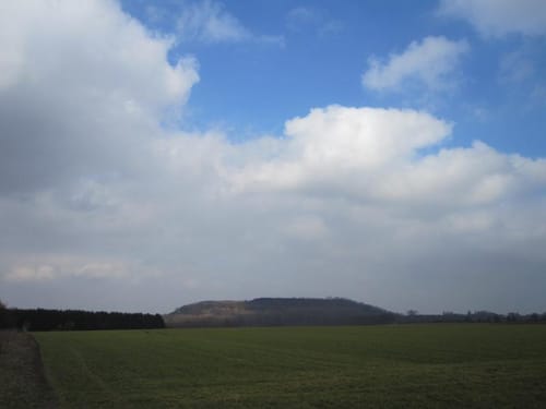 Rund um die Carl-Alexander-Halde zum Merberener Weg