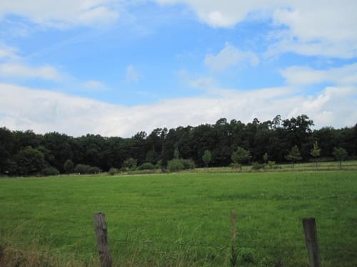 MTB Tour 2 – Vom Schleidtal zur Steinbachtalsperre