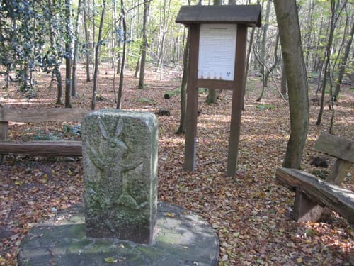 Von Buschhoven nach Capellen