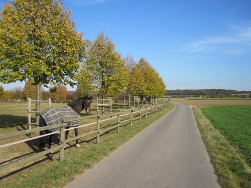 Von Buschhoven nach Capellen
