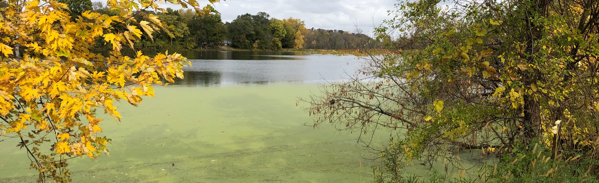 Deere Dike Park, Iowa 31 Reviews, Map AllTrails