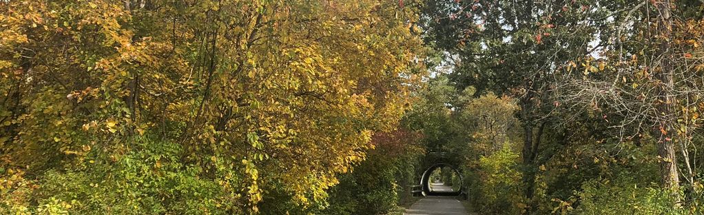 Cape Cod Rail Trail -  / Whitman, MA (781) 447-7223