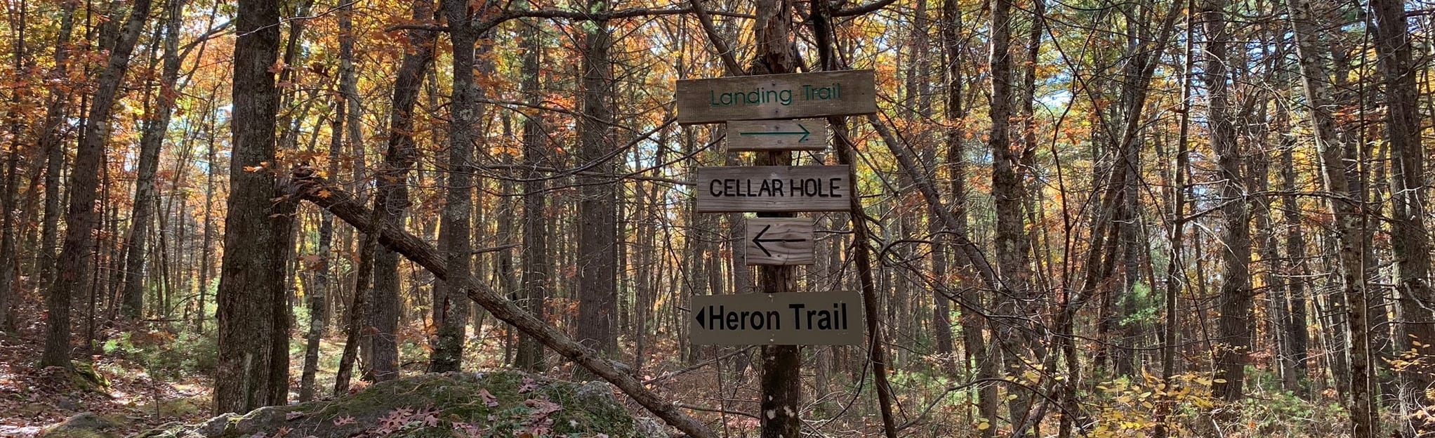 Landing Trail and Deer Trail Loop 72 Reviews, Map New Hampshire