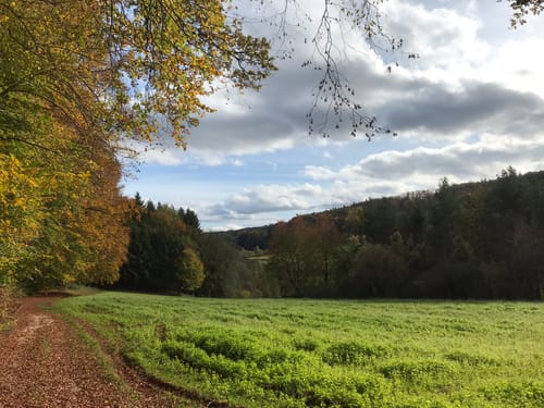 Reschenberg Runde