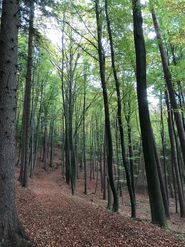 Reschenberg Runde