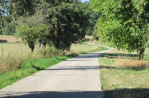 Rundwanderweg Helmstadt 2: Reichartshausen-Weg