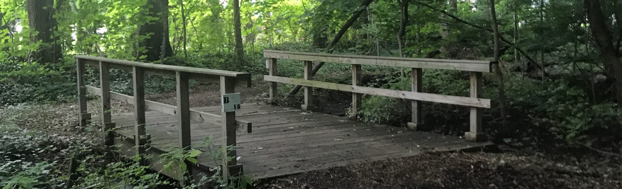 Kings Point Inner Loop, New York 101 Reviews, Map AllTrails