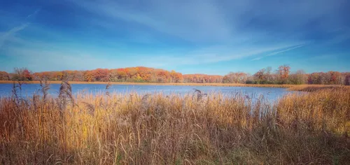 are dogs allowed at lake maria state park mn