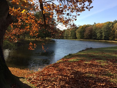 Vom Schlosspark zum Wildpark