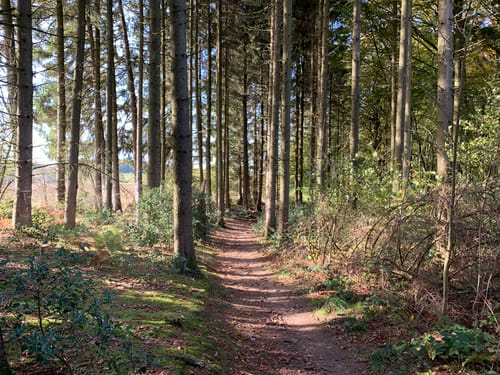 Eifgen Rundwanderweg A2