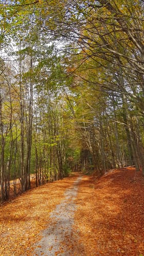 Milseburgradweg
