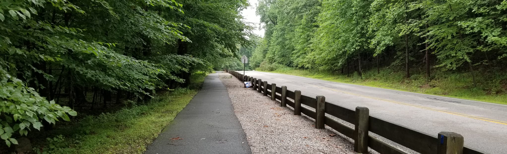 Mountain Way Trail 32 Reviews, Map New Jersey AllTrails