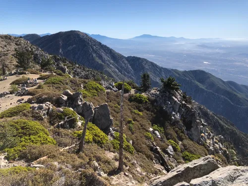 10 Best backpacking trails in Cucamonga Wilderness AllTrails