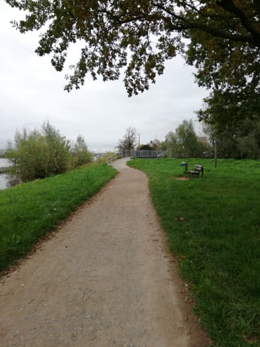 Am Rhein bei Gernsheim