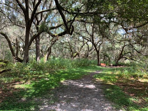 2023 Best Wheelchair Friendly Trails In Lake Runnymede Conservation 