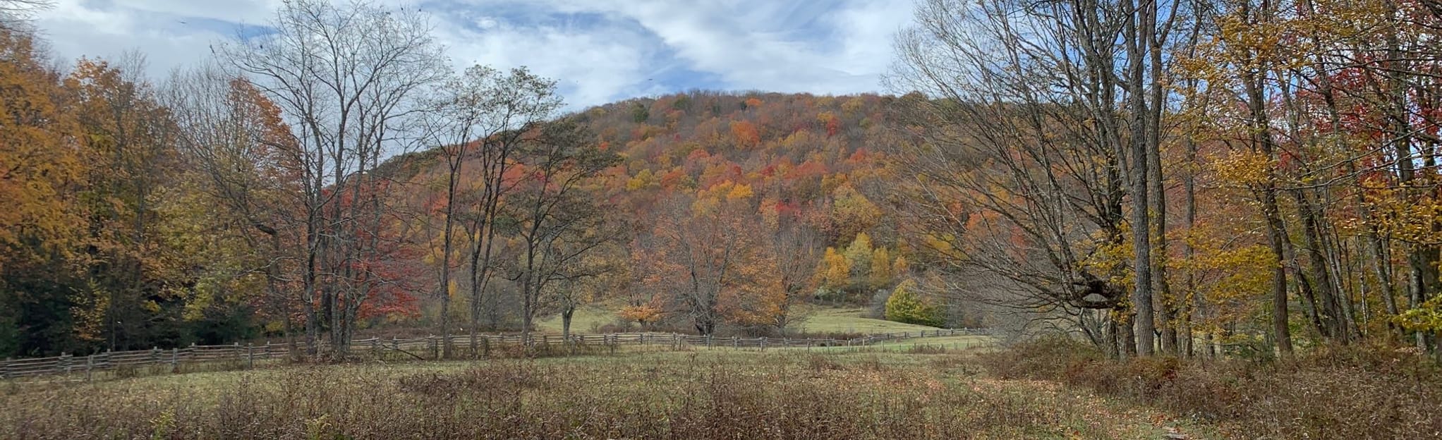 Fairwood Vallely Loop, Virginia 3 Reviews, Map AllTrails