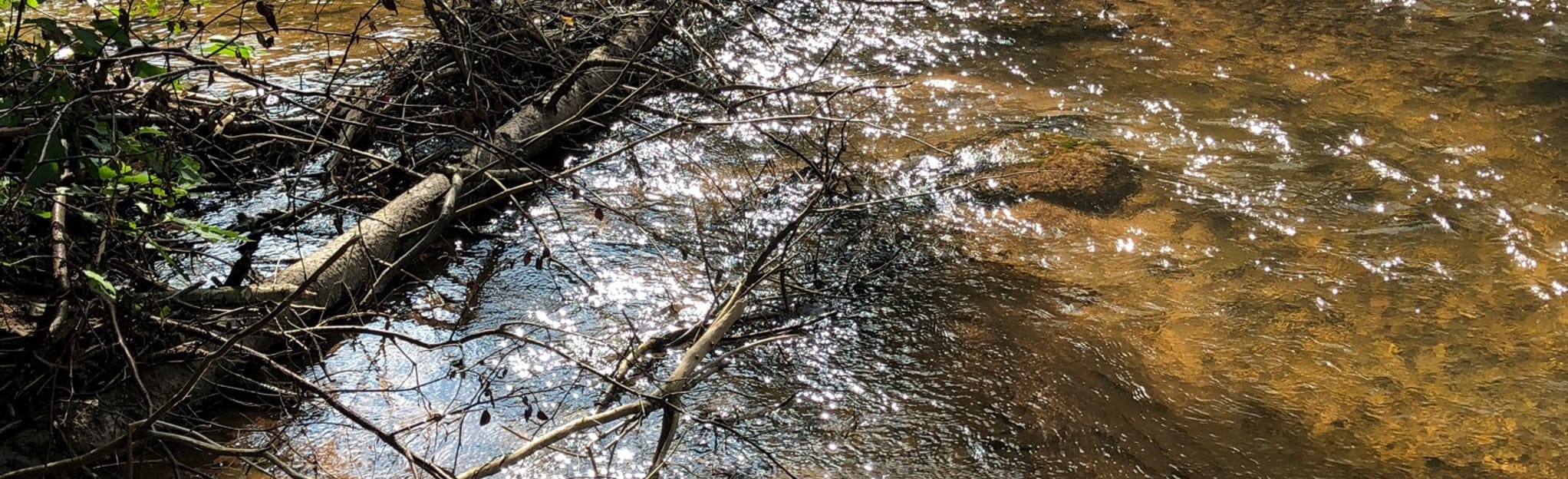 AllTrails Brule River from Copper Range Campground 7 Reviews, Map