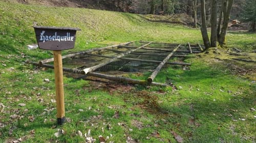 Bad Orb - Rosskopf - Horstberg