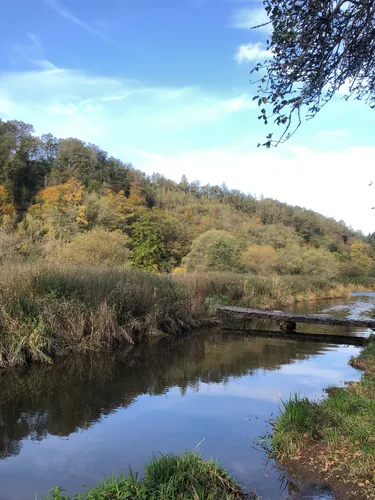 De 10 beste wandelroutes om te wandelen in VressesurSemois AllTrails