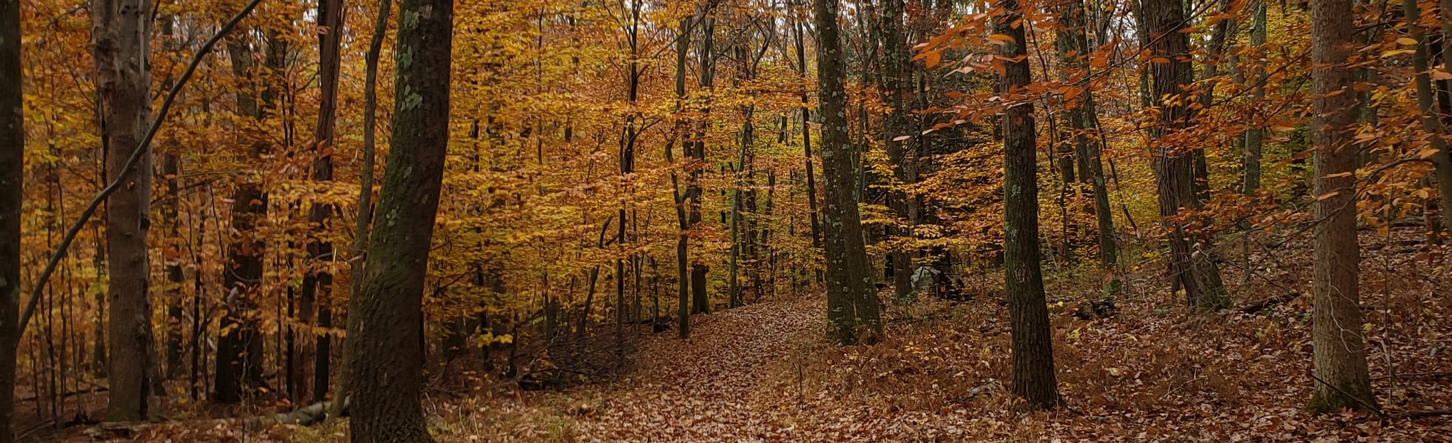 Chestnuthill Park 67 Reviews, Map Pennsylvania AllTrails