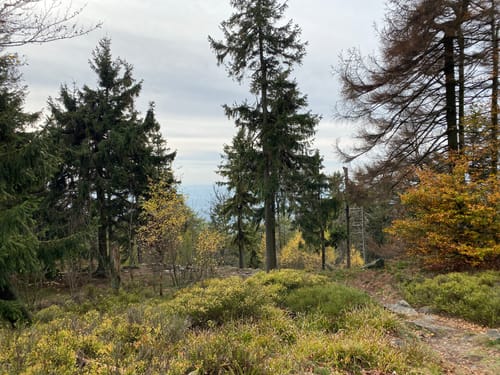 Vom Rosengarten zum Altkönig