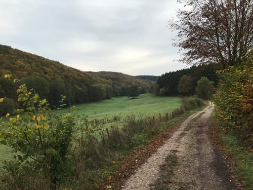 Tippeltour 20: Zum Matronenheiligtum bei Pesch