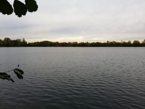 Um den Südsee und den Riedsee