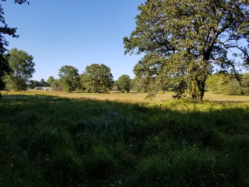 Best Hikes and Trails in Loantaka Brook Reservation AllTrails