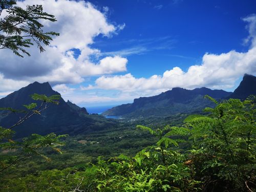 2023 Best 10 Trails and Hikes in Moorea | AllTrails