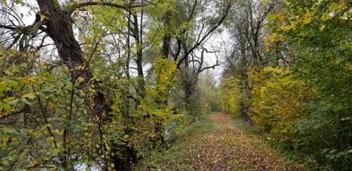 Pfrombach nach Aich über den Mittleren Isar Kanal