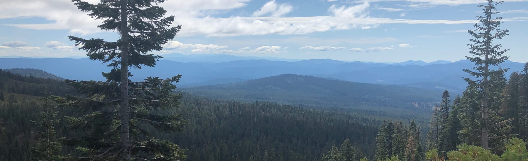 Sand Flat Road, California 67 Reviews, Map AllTrails