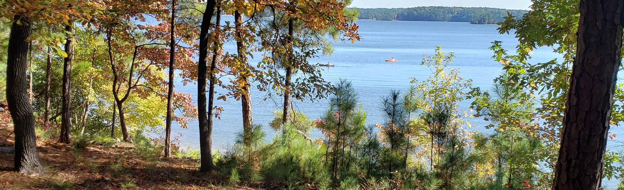 Wind Creek Yellow Trail Loop Alabama AllTrails