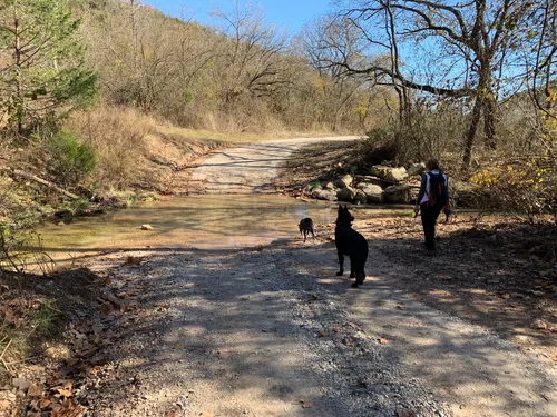 Hikes near me 2024 that allow dogs