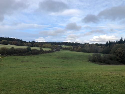 Armutsbachtal Rundweg