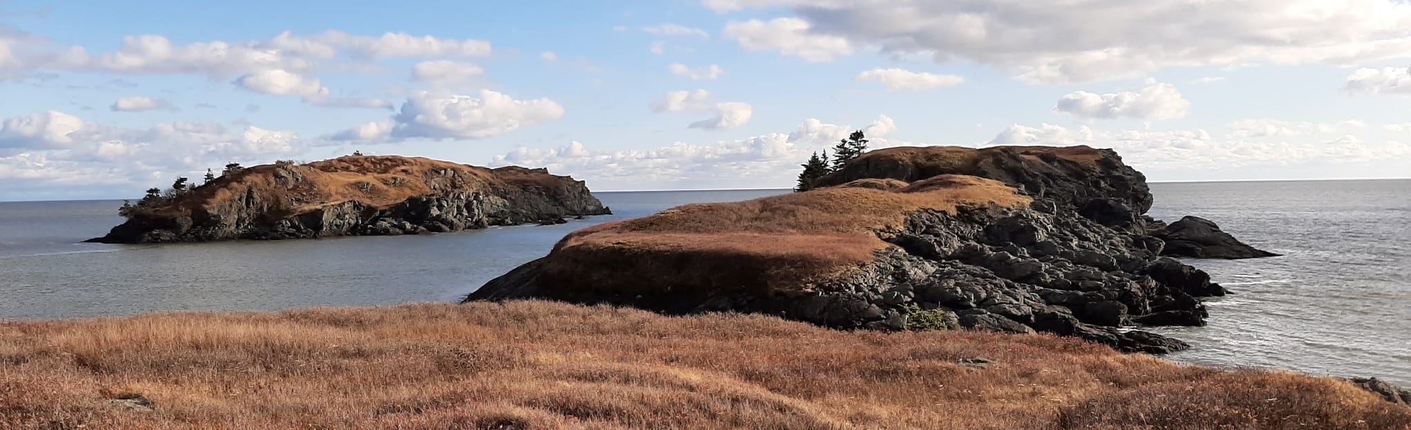 Gooseberry Cove Trail, New Brunswick, Canada 21 Reviews, Map AllTrails