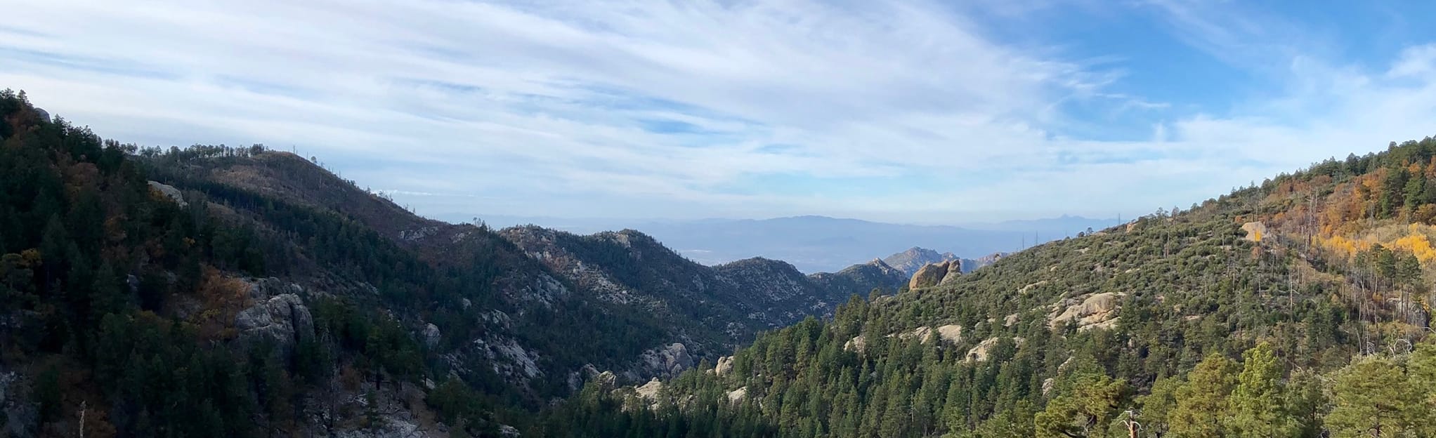 Sunset Trail from Sabino Canyon, Arizona 95 Reviews, Map AllTrails