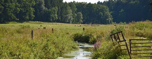 Wanderroute Randzau-Tal