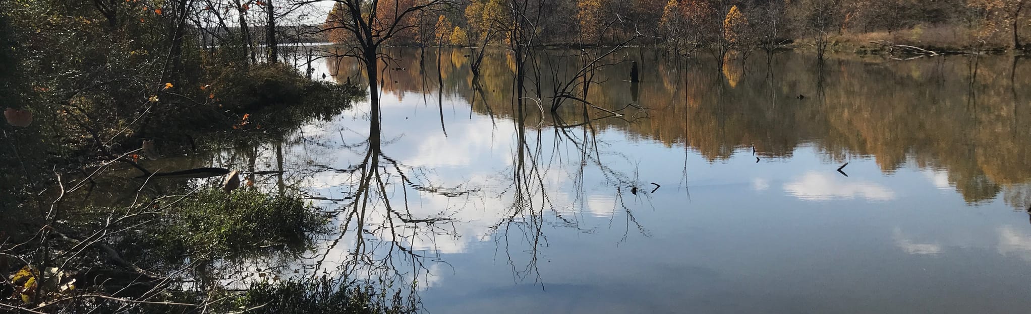 Lake Vista Trail Out and Back from Liggett Road, Missouri 618 Reviews