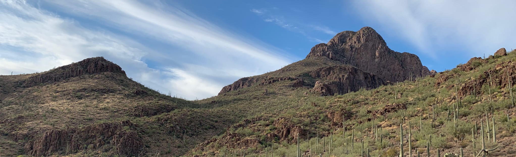 Sanctuary Cove Scenic Trail 327 Reviews, Map Arizona AllTrails