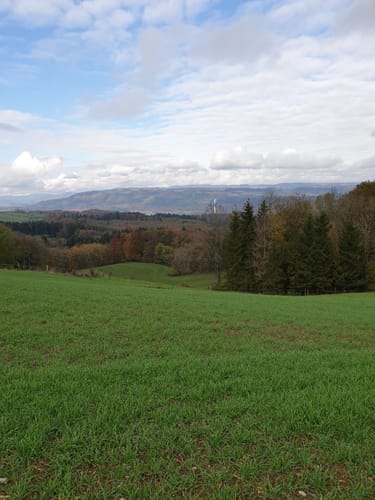 Chriesiwäg - Burgruine Alt-Tierstein