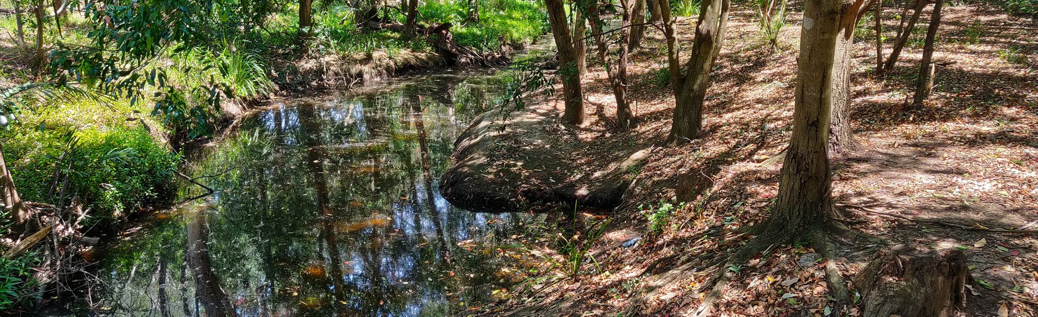 Cabbage Tree Creek Bikeway Mappa, Guida Queensland, Australia