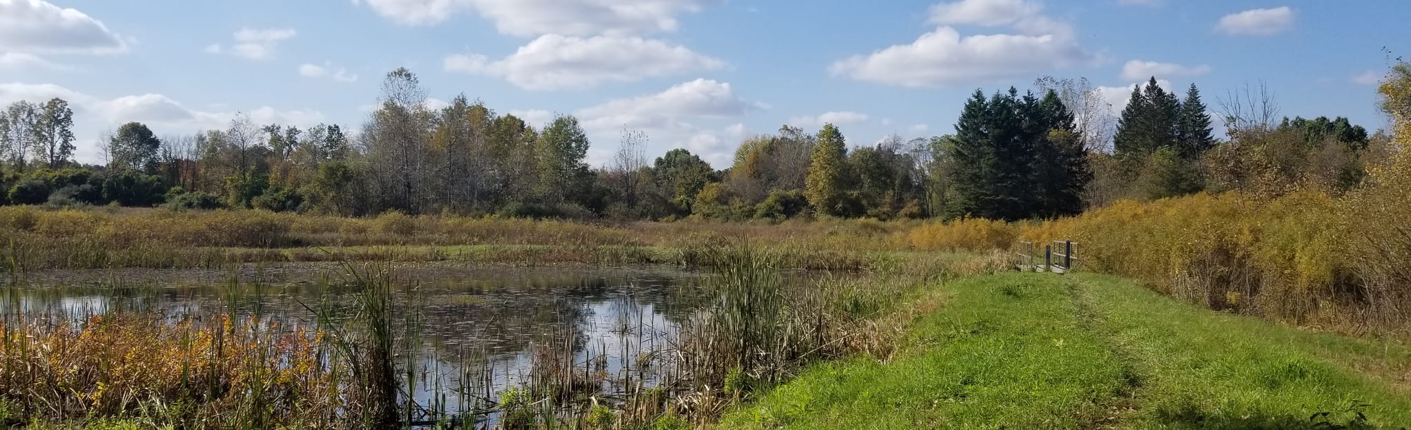 Grass Lake Trail, Michigan 219 Reviews, Map AllTrails