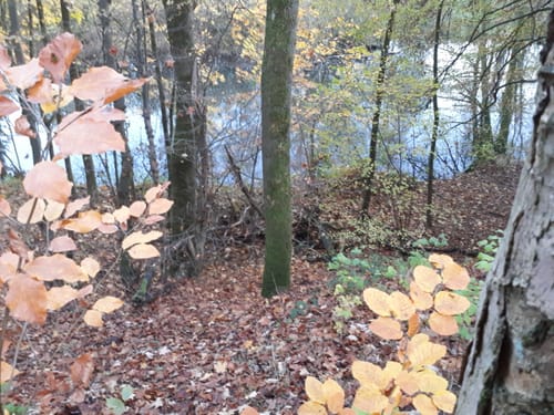 Diemelradweg Etappe 2: Marsberg - Warburg