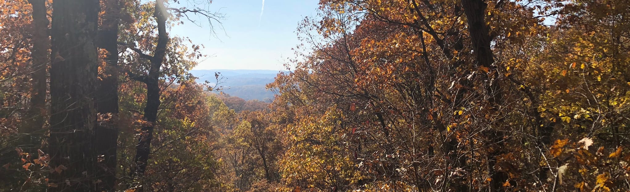 Flint Quarry and Chubb Trail Loop: 2,190 Reviews, Map - Missouri ...