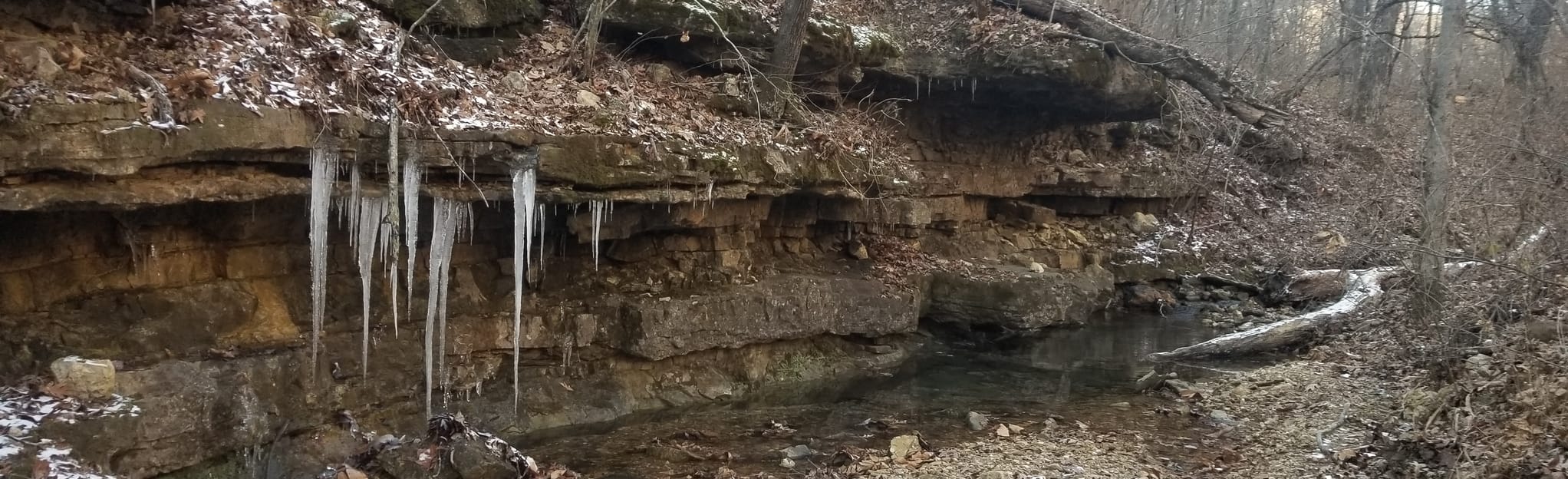 Spout Spring Trail 12 Reviews, Map Missouri AllTrails