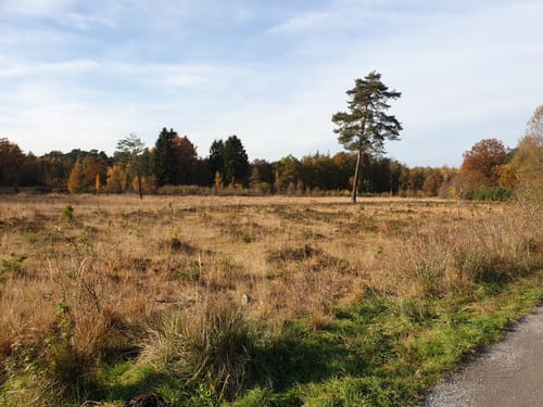 Fahrradtour: Durch die Ohligser Heide