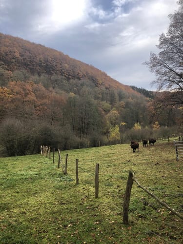 Herhahn - Dreiborn - Schleiden