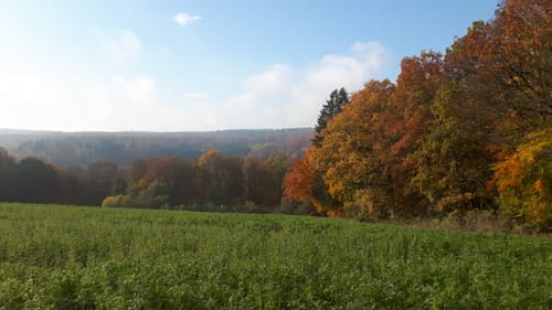Rundstrecke Mömlingen (Mö2)