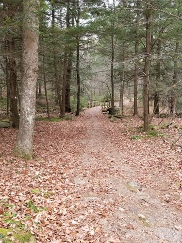 brooks woodland preserve